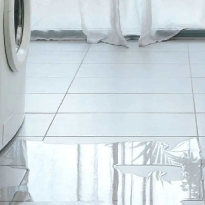 Appliance Leak Cleanup in Janesville, WI
