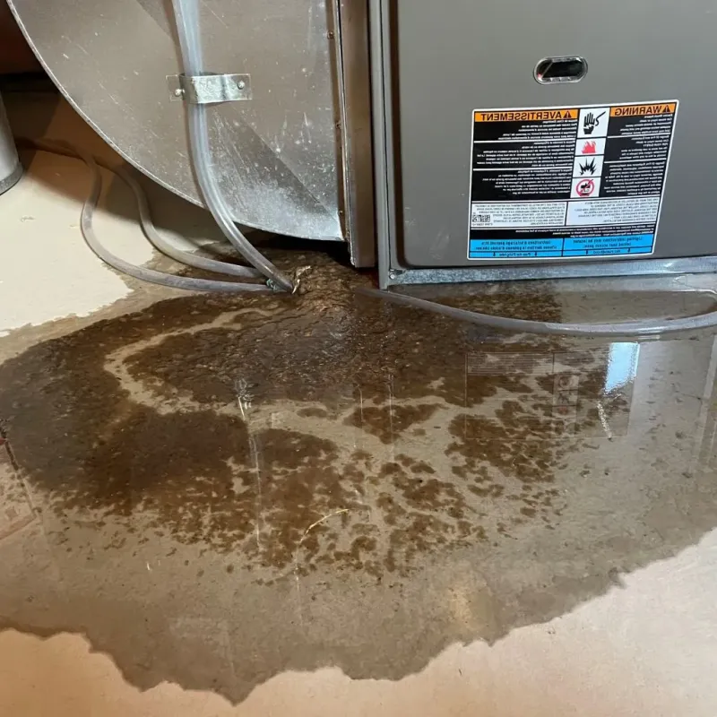Pipe Burst and Leak Restoration in Janesville, WI